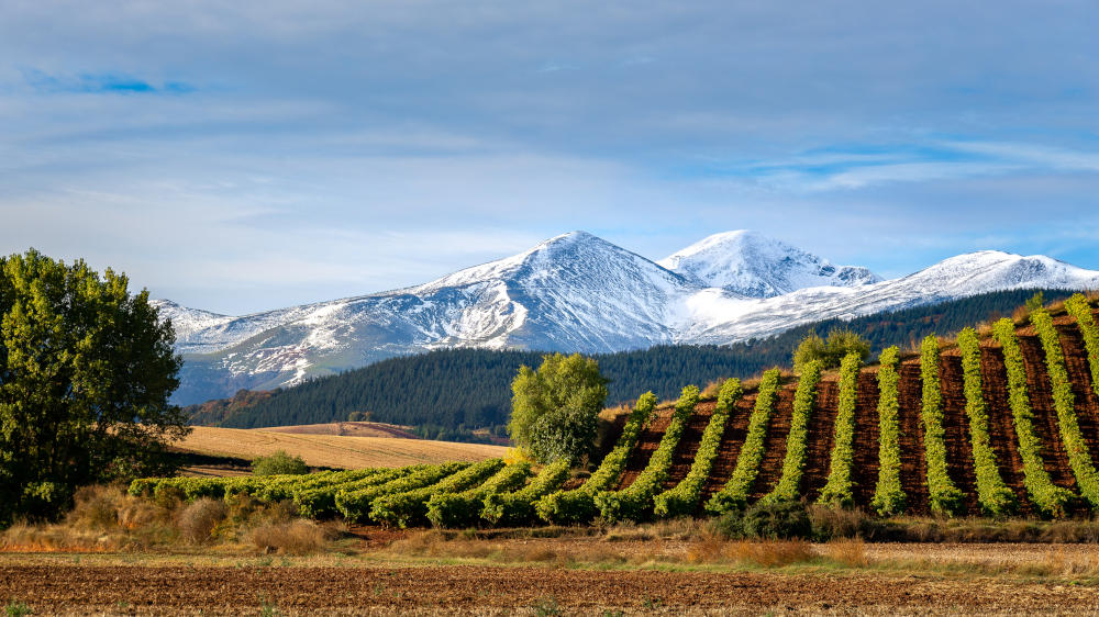 La Rioja Spanien