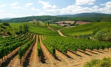 Chianti Chianti