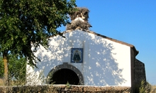 Cáceres Cáceres