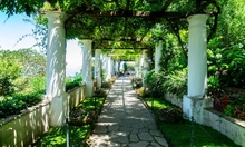 Capri Capri
