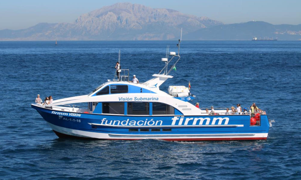 Whale Watching Andalusien