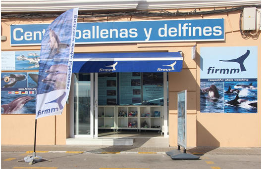 Whale Watching Andalusien