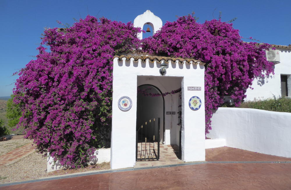 Landhotel Olivetum Colina Andalusien